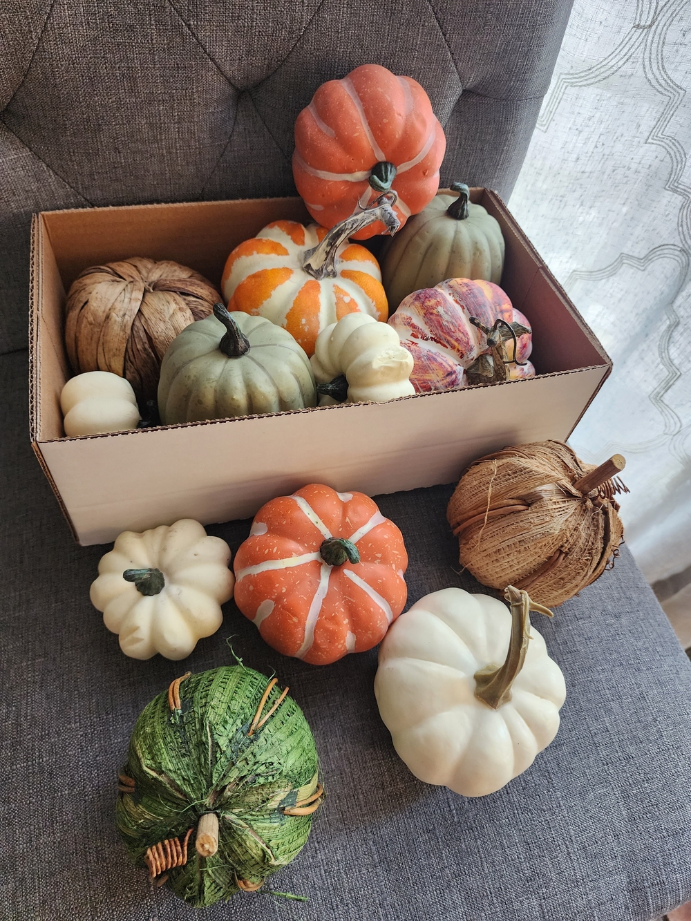 Assorted Mini Pumpkins - Picture 2 of 11